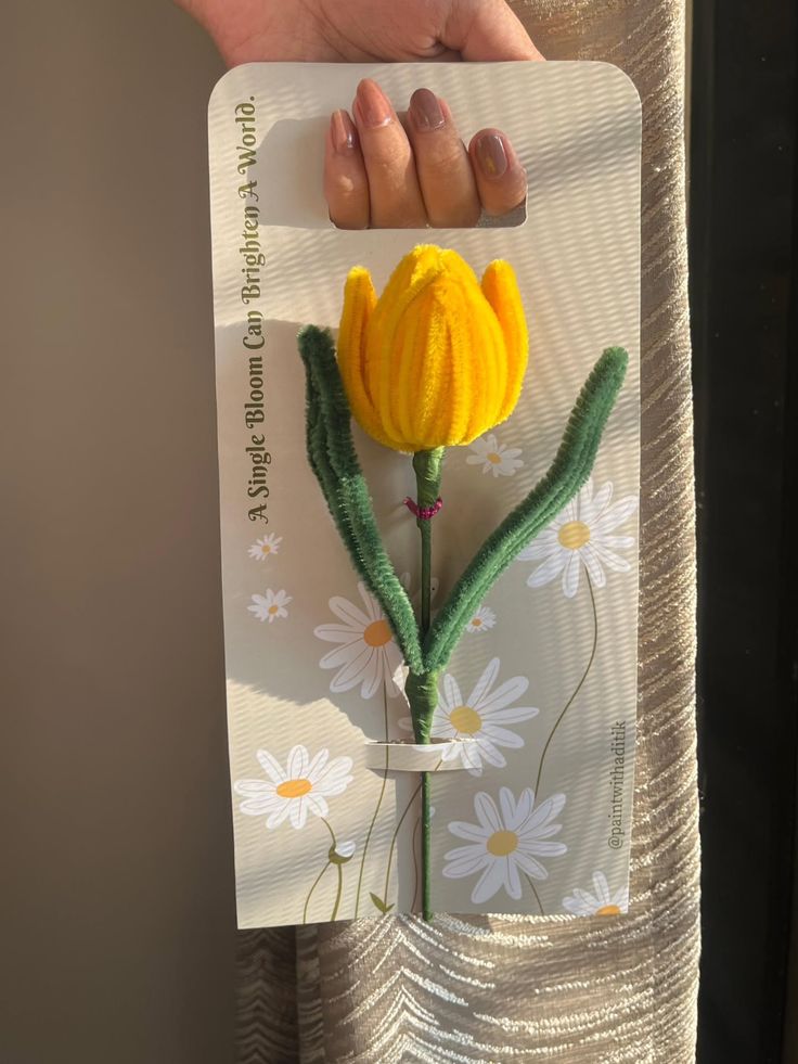 Blush Bloom Tulip-pack of 2 tulips